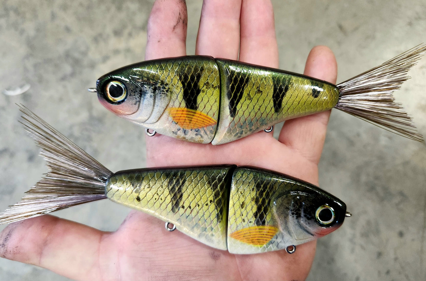 Smoove Glide Premium Yellow Perch